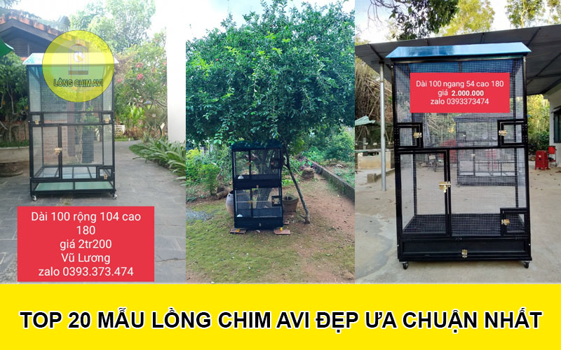 Mẫu lồng chim Avi đẹp